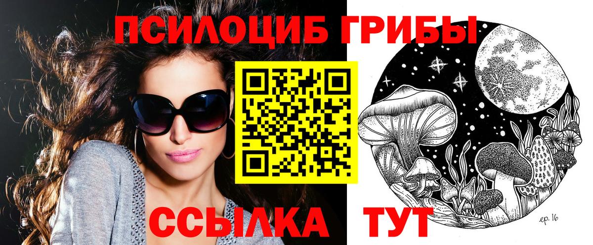 Галлюциногенные грибы Psilocybine cubensis  Галлюциногенные грибы мицелий  Назарово  Вход с VPN 